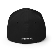 Load image into Gallery viewer, be weird. Fitted Dome Cover